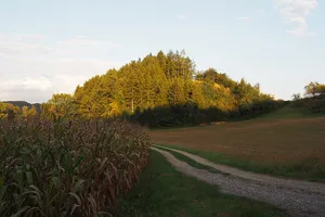 Mittelalterlicher Burgstall