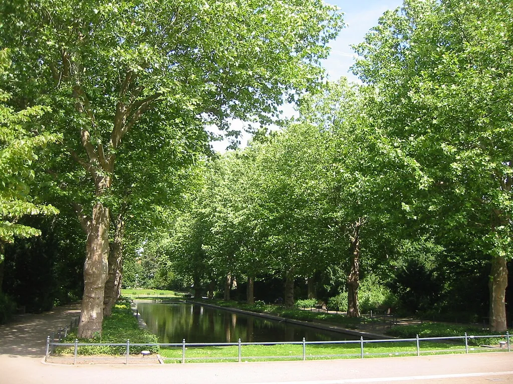 Blick auf das Spiegelbecken mit Platanen im Von-der-Schulenburg-Park in Berlin-Neukölln