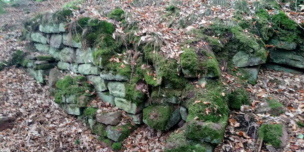Räuberschlösschen (Freudenberg) - Mauerreste