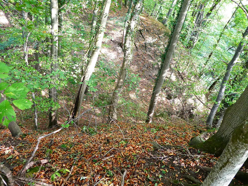 Teil vom Burggraben der Burg Schweinhausen im Osten von Schweinhausen (Ortsteil von Hochdorf (Riß)) bei Biberach]]