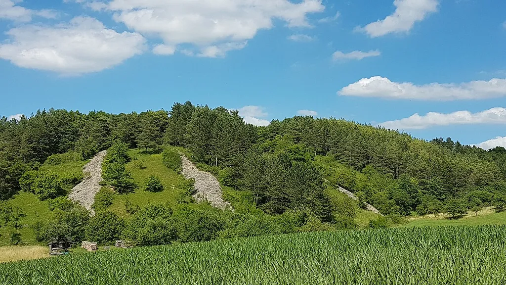 Flächenhaftes Naturdenkmal "Steinriegel Dittwar Burghelle" an einem Hang von Dittwar in Richtung Hof Steinbach