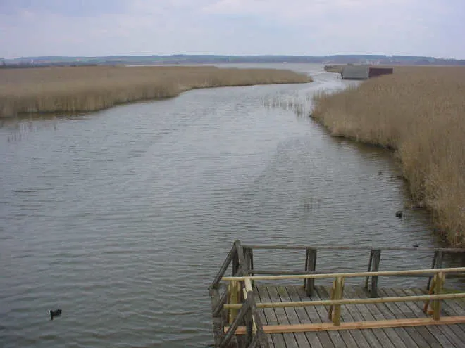 Der Federsee bei Bad Buchau.