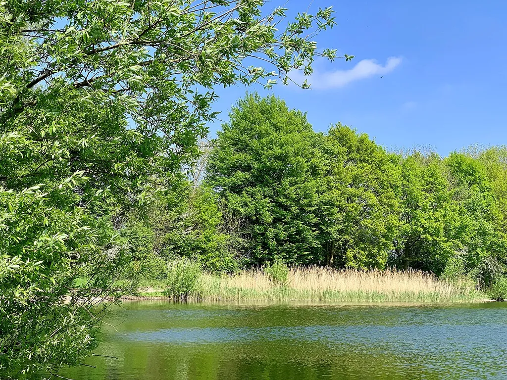 The Schluesselburger Teich is a lake within the nature reserve Staustufe Schluesselburg MI-014 in the near of Petershagen, North Rhine-Westphalia.