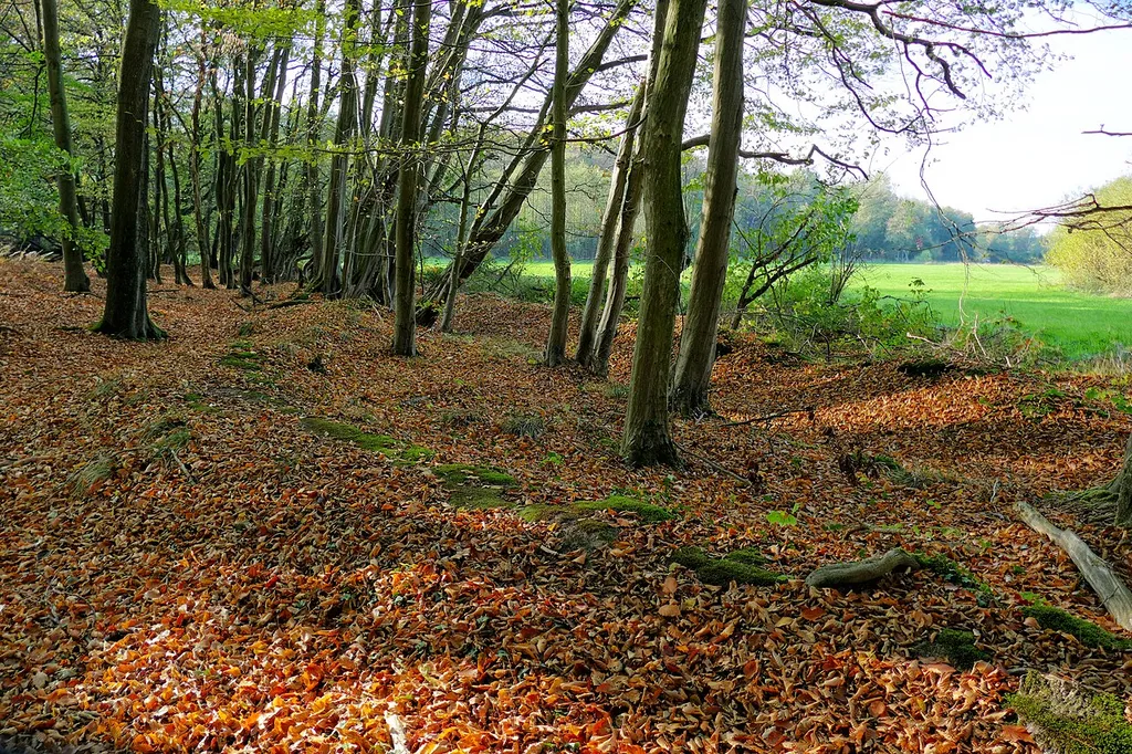 Naturschutzgebiet Harderburg.
