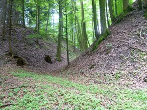 Burgstall Rudolfspitz