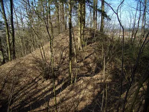 Burgstall Andorf