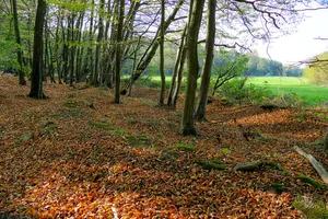 Harderburg