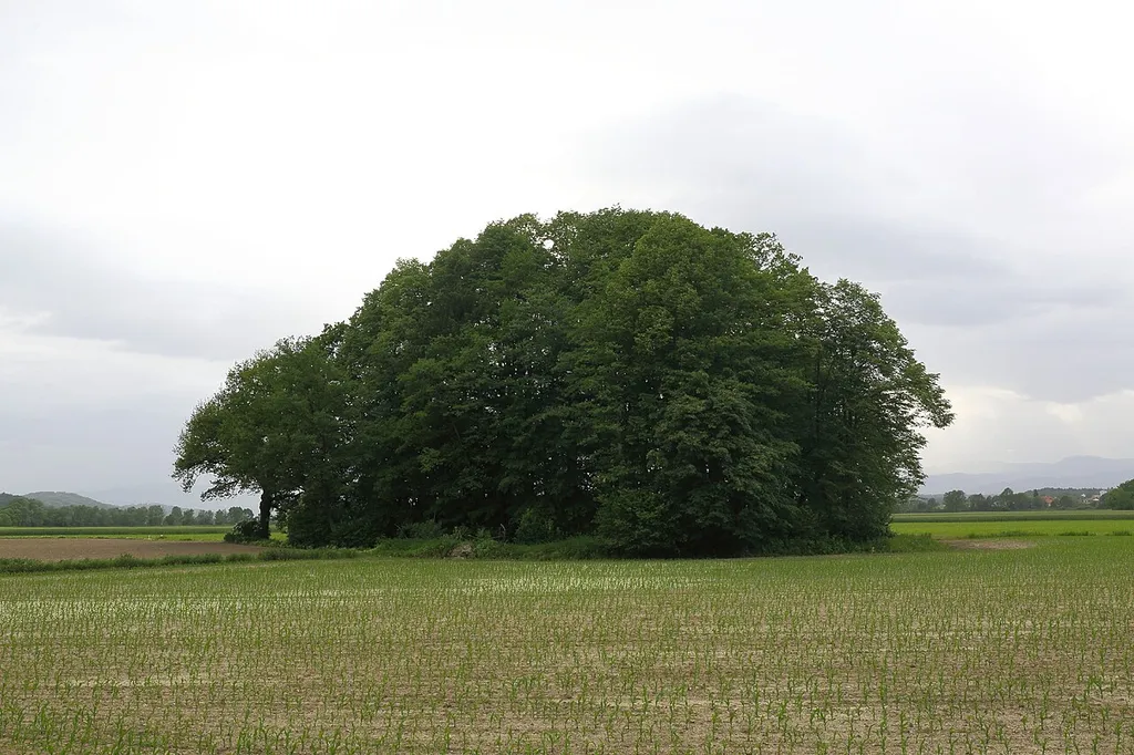 This media shows the Geschützter Landschaftsteil in Styria with the ID GLT_0235.
