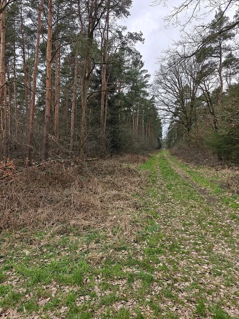 Naturschutzgebiet Nienburger Bruch