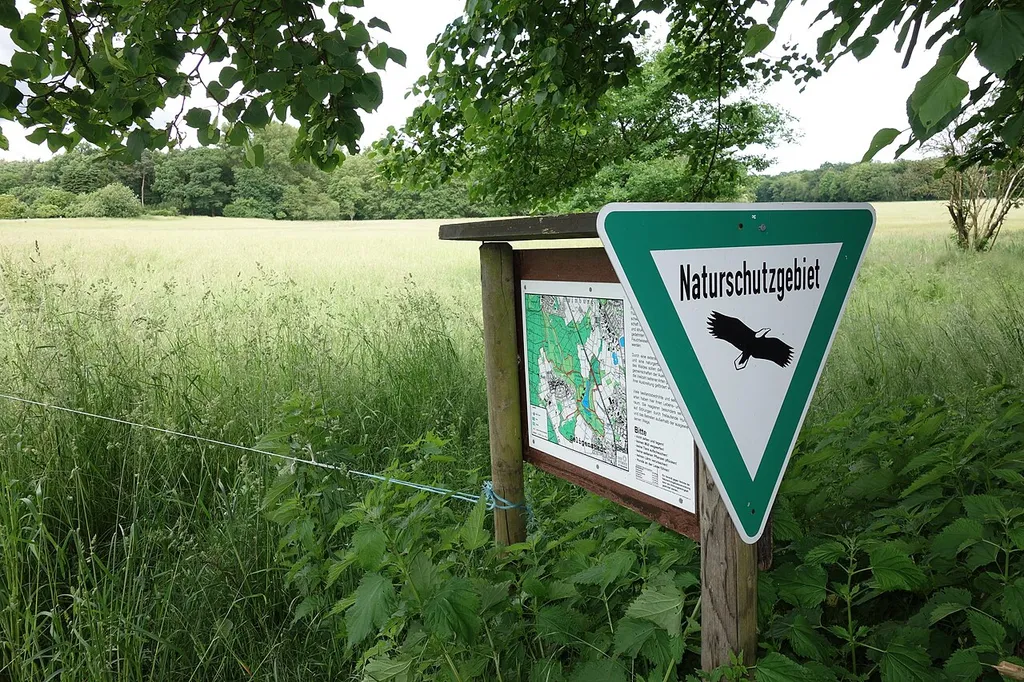 NSG Langhorst von Hainburg und Seligenstadt