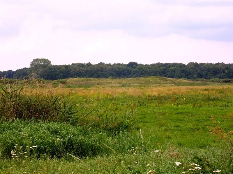 Slawischer Burgwall bei Mölln in Mecklenburg-Vorpommern, Landkreis Demmin