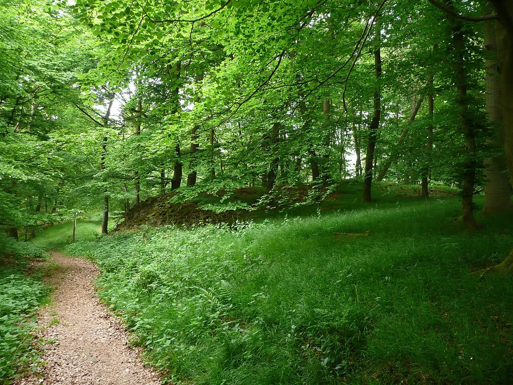 Urwaldsteig (Knorreichenstieg) im Naturschutzgebiet Hünselburg am Edersee im Mai. Reste der Hünselburg, einer mehrteiligen Wallanlage aus der Frühlatènezeit.