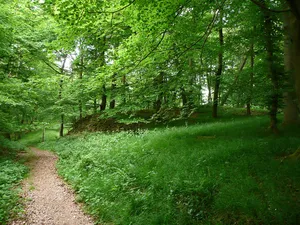Hünselburg
