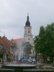 Immaculate Conception church in Wolsztyn