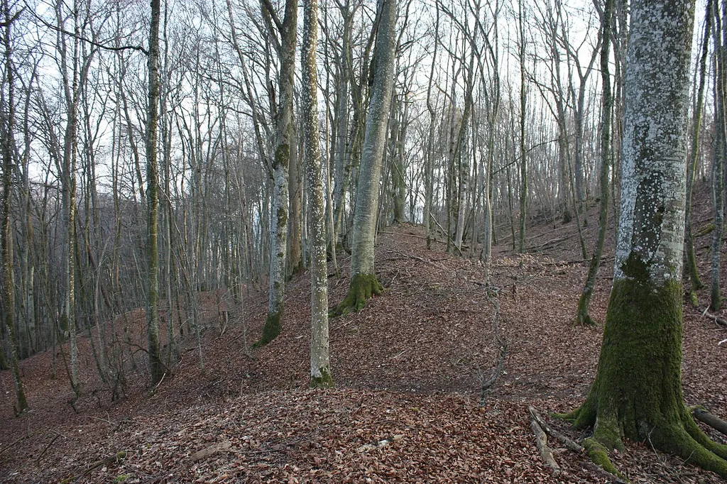 Doppelwallanlage Burg Alt-Hayingen