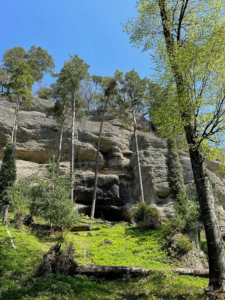 de:Grottenburg Hohfluh