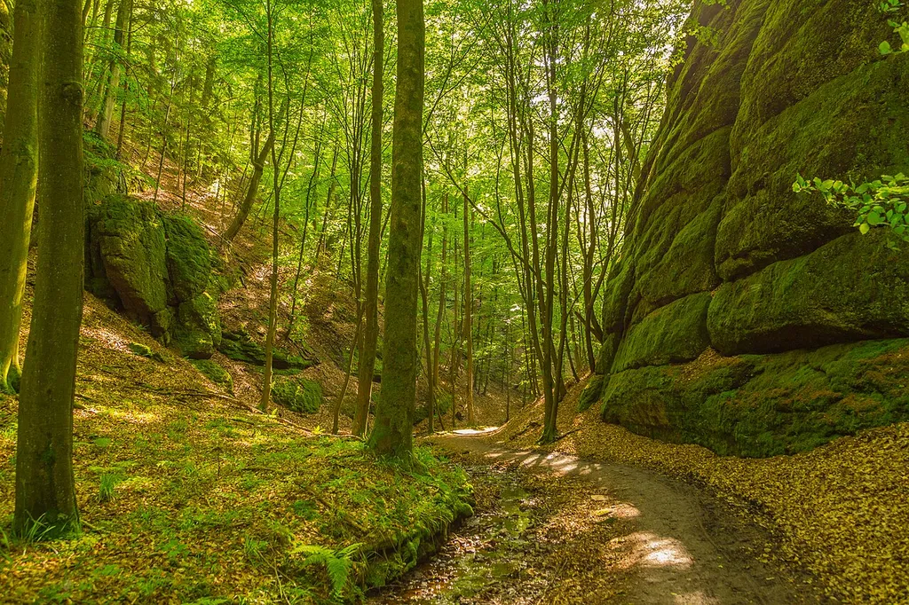 At the Landgrave Gorge (Landgrafenschlucht) near Eisenach, Thuringia, Germany. The gorge belongs to the nature reserve Wälder mit Schluchten zwischen Wartburg und Hohe Sonne.