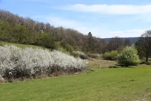 Schönecker Schweiz