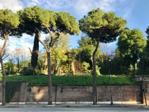 Municipal Antiquarium