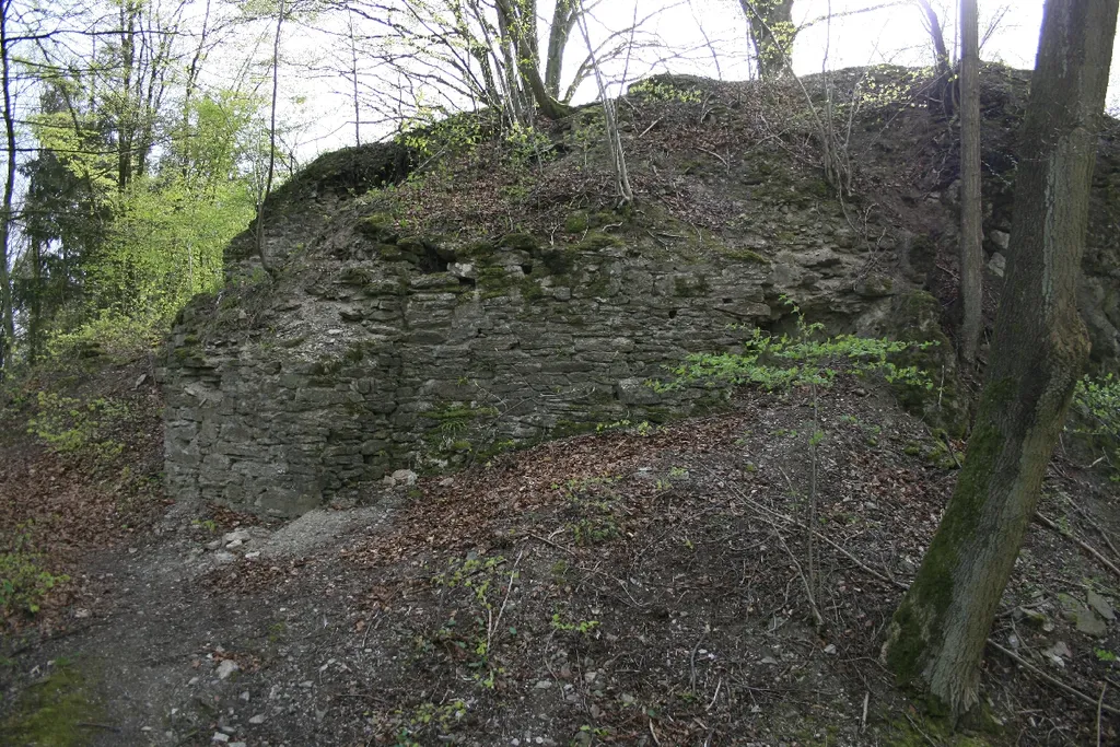 Ruine Burg Borghausen(Attendorn)
