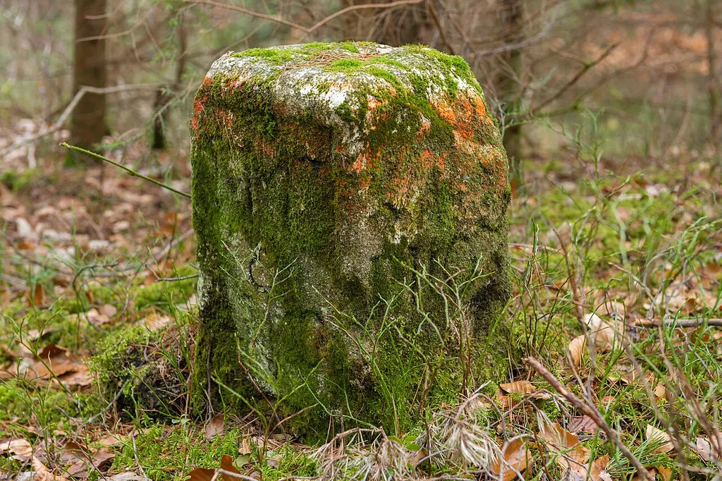 Grenzstein Fürther Stadtwald in Zirndorf