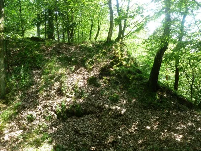 Burgstall Wolfsbach