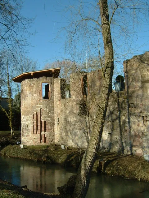 Burg in Bad Vilbel;