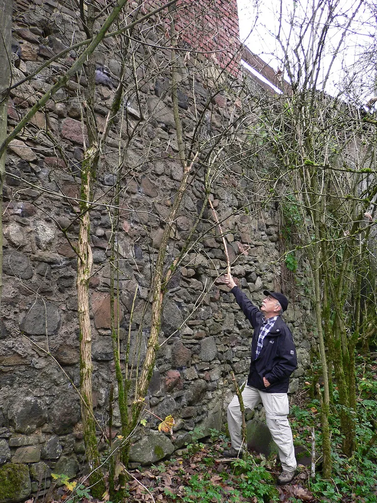 Dernbach Burgmauer