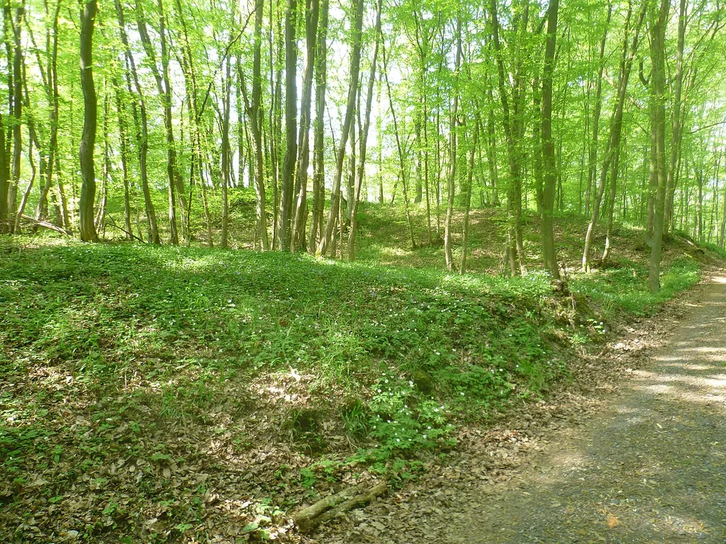 Der doppelte Wall am Ringwall Holzburg