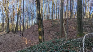 Burgstall Moosburg