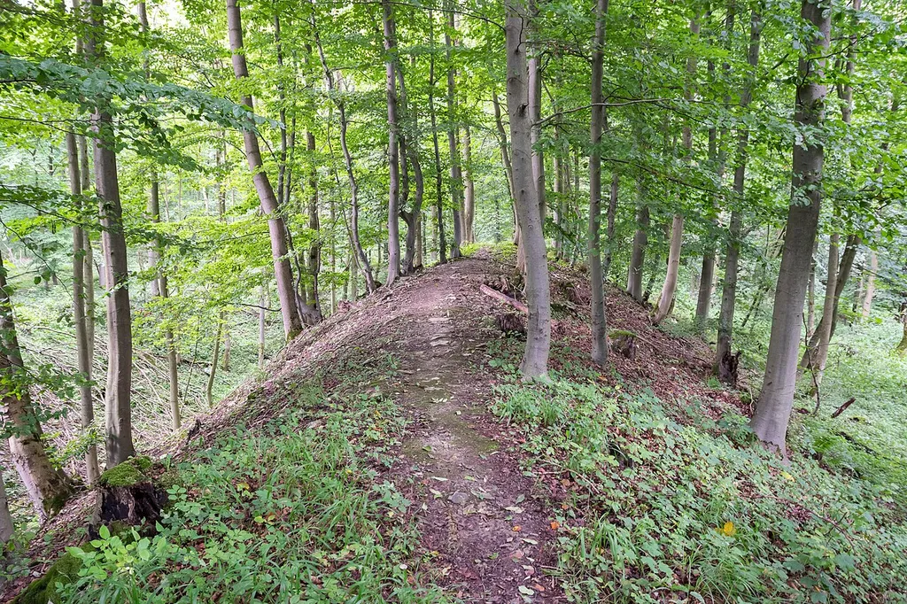 Wallburg Gellinghausen nördlich Borchen-Etteln, Kreis Paderborn
