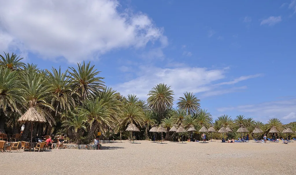 The Phoenix theophrasti palm beach of Vai (Crete, Greece)