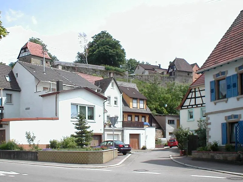 Mauerreste und Nebengebäude des Schlosses von Waldangelloch