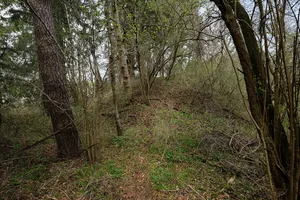 Burgstall Schlößlesbühl