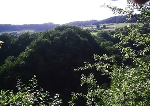 Burg Krenkingen