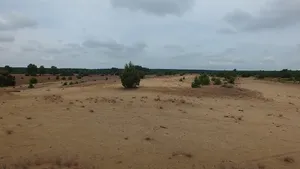 Vogelschutzgebiet Annaburger Heide