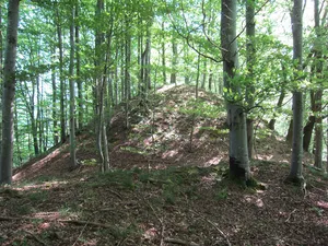 Schlossbühl