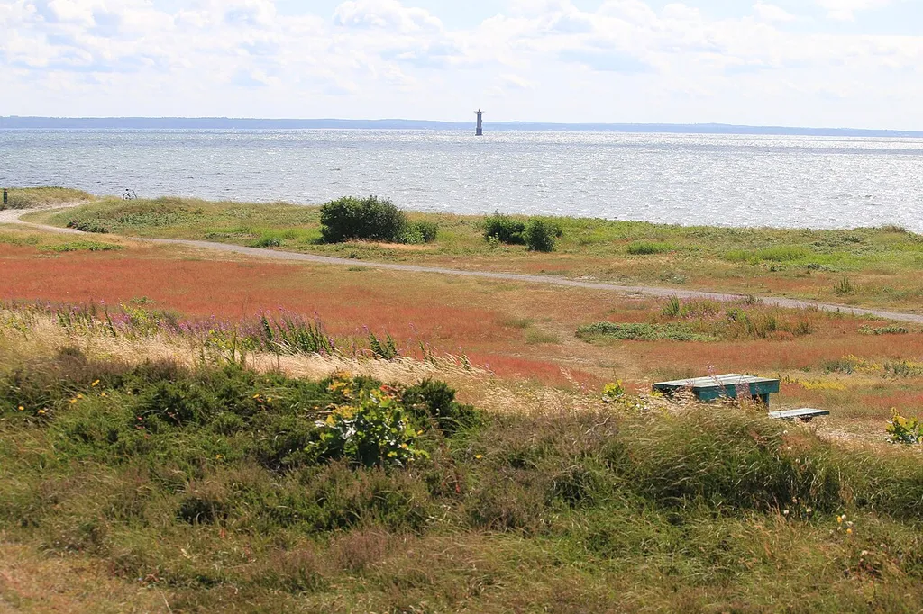 Väsby strandmark naturreservat
