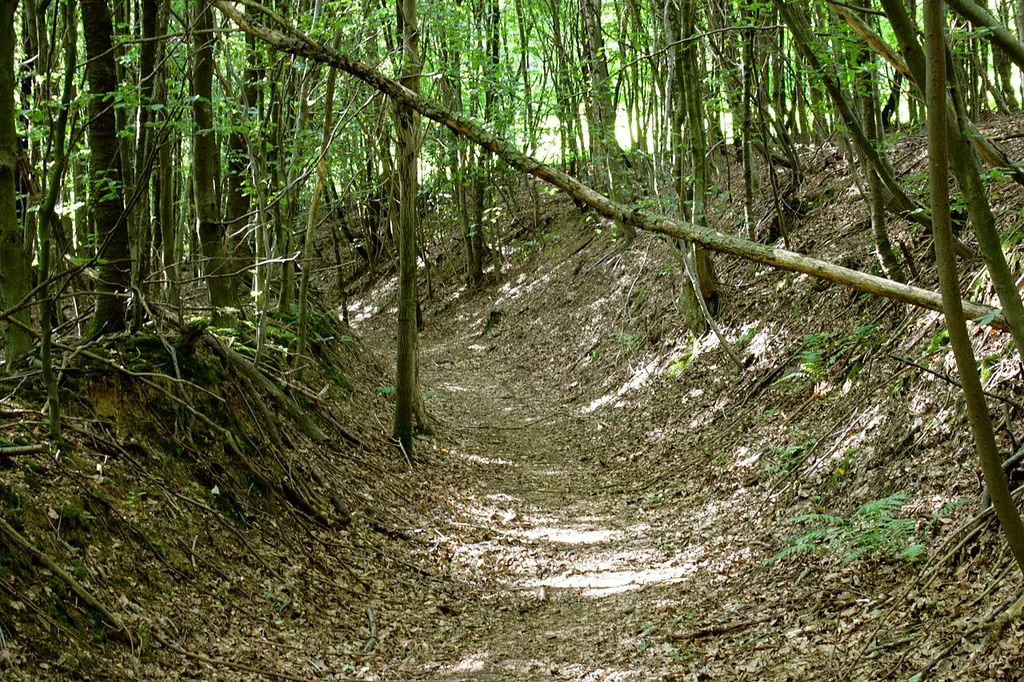 Eifgenburg in Burscheid