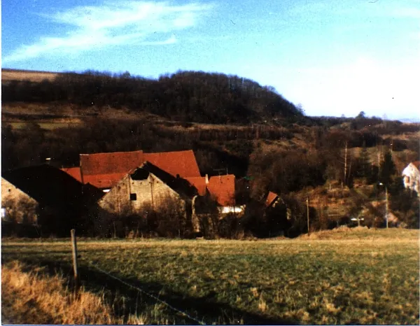 Naumburger Hof bei Ginsweiler (ehem. Burg)