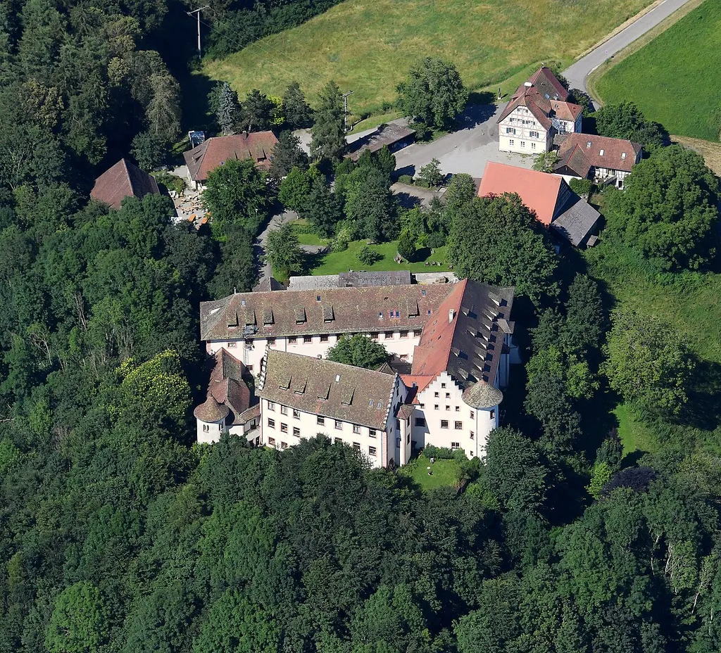 Aerial image of the Hohenfels Castle (Hohenfels) (view from the southwest)