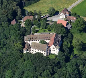 Hohenfels Castle (Hohenfels)