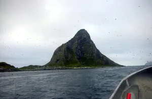 Bleiksøya