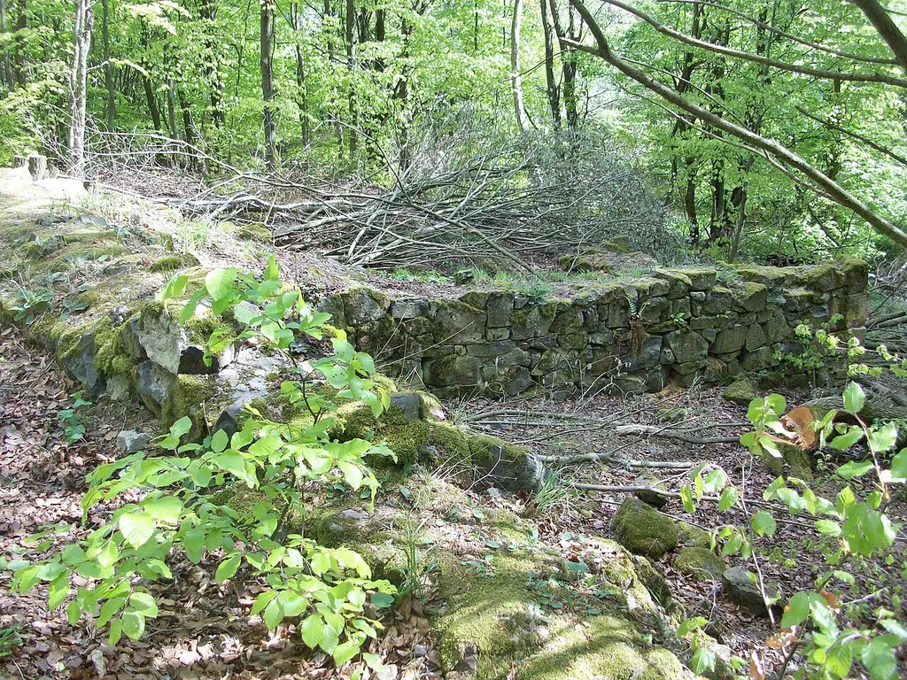Burgmauer (links) und Ruinenreste eines angelehnten Gebäudes der Burgruine Hardeck (Büdingen)
