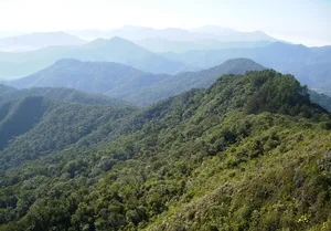 Serra do Itajaí National Park