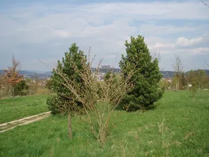 Grünes Labor Coburg