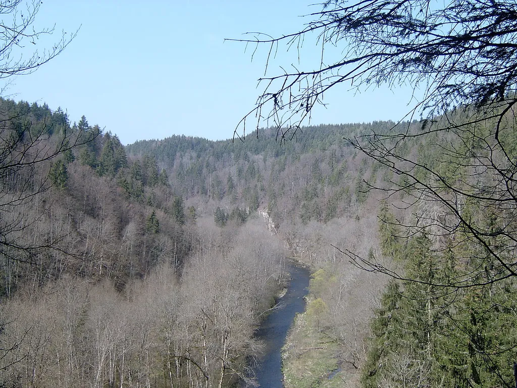 Wutachschlucht (Schwarzwald-Baar-Kreis)