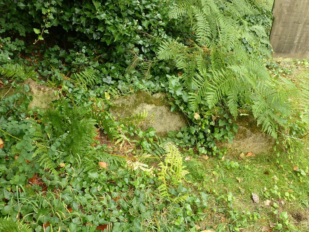 A group of 3 gravestones in Wollaton churchyard