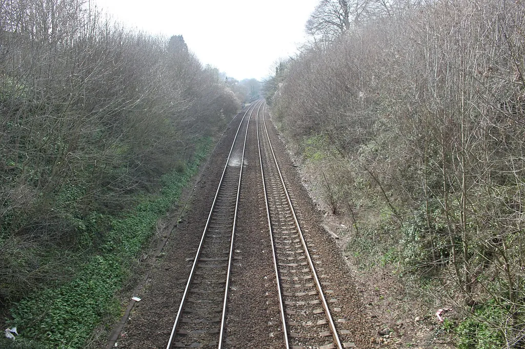 Godminster Lane Railway Cutting, Bruton, Somerset