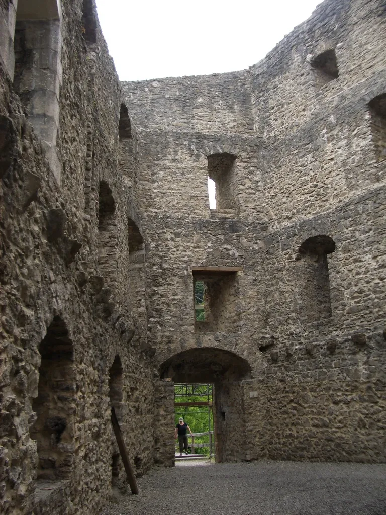 Gilgenberg castle ruin